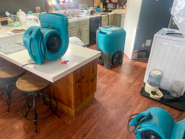 Best Basement water damage restoration  in Canton, SD