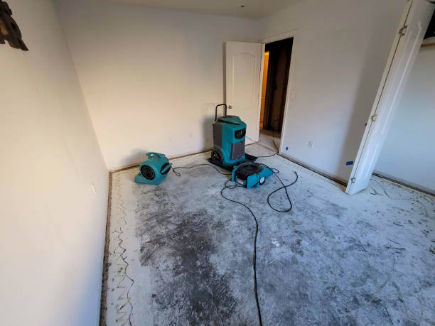 Best Water damage cleanup near me  in Canton, SD