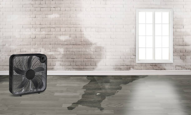 Best Emergency water damage restoration  in Canton, SD