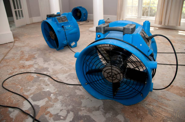 Best Water damage contractors near me  in Canton, SD