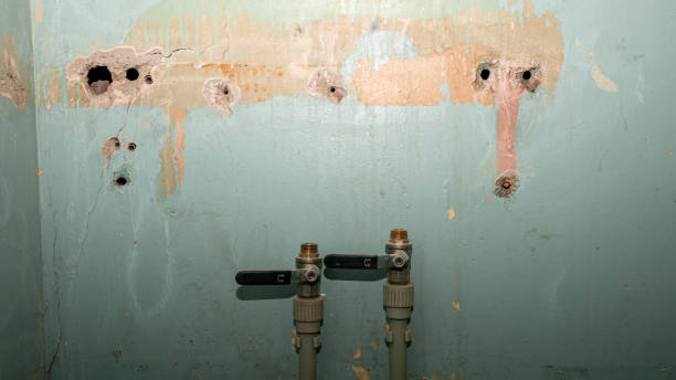 Best Ceiling water damage repair  in Canton, SD