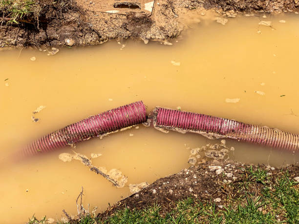 Best Commercial water damage restoration  in Canton, SD