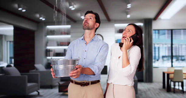 Best Fire Damage Restoration  in Canton, SD