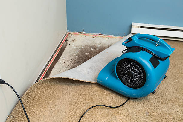 Trusted Canton, SD Water damage restoration Experts